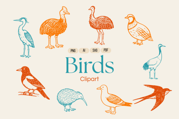 Avian Birds Vector Illustrations: Hand-Drawn Charm for Modern Design