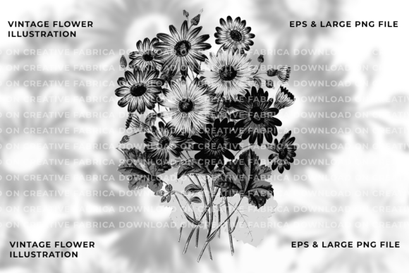 Stunning Illustrations of Bouquet Chrysanthemum for Creative Projects